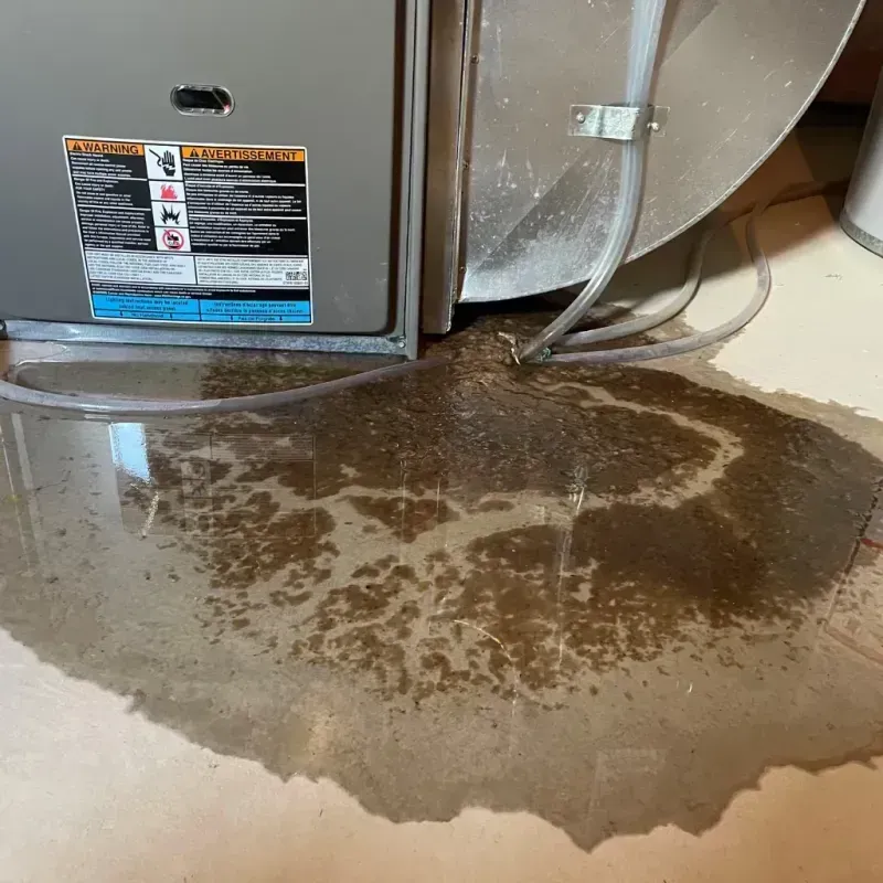 Appliance Leak Cleanup in Broadway, VA